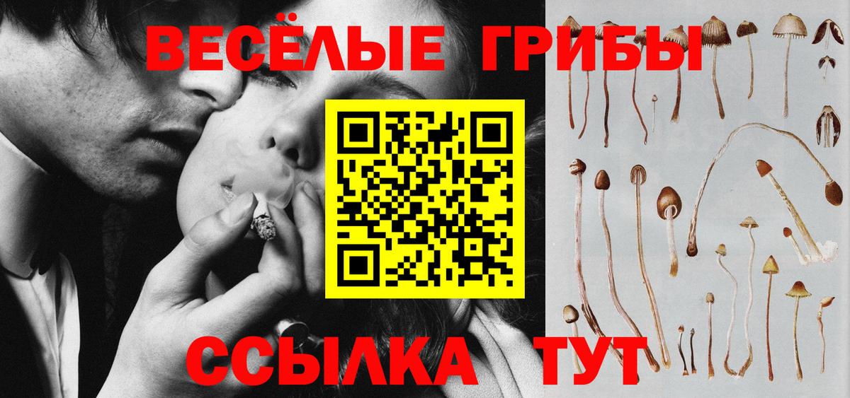 Псилоцибиновые грибы Cubensis Феодосия